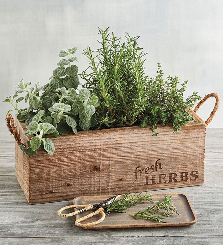 Rustic Herb Garden